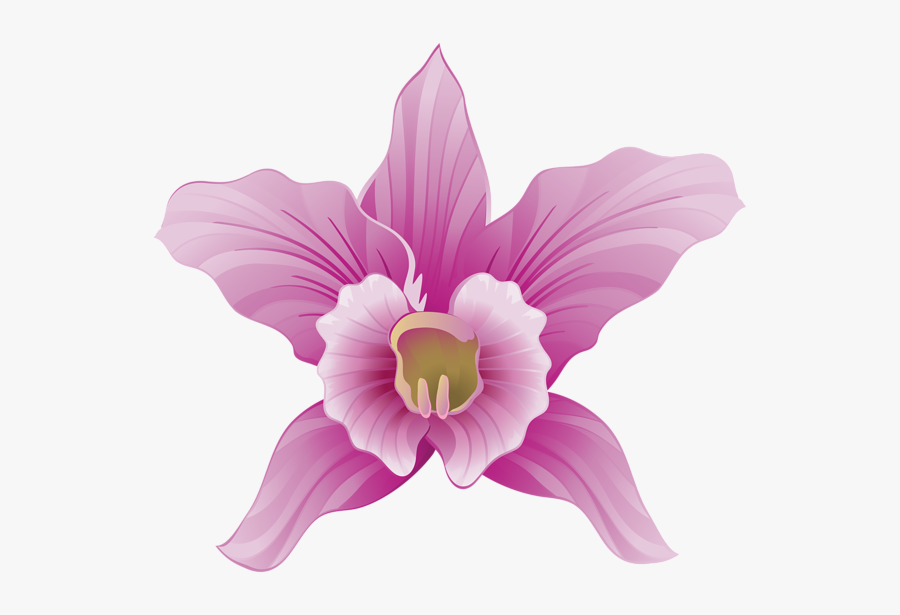 Png Download Orchid Clipart Lilac - Portable Network Graphics, Transparent Clipart