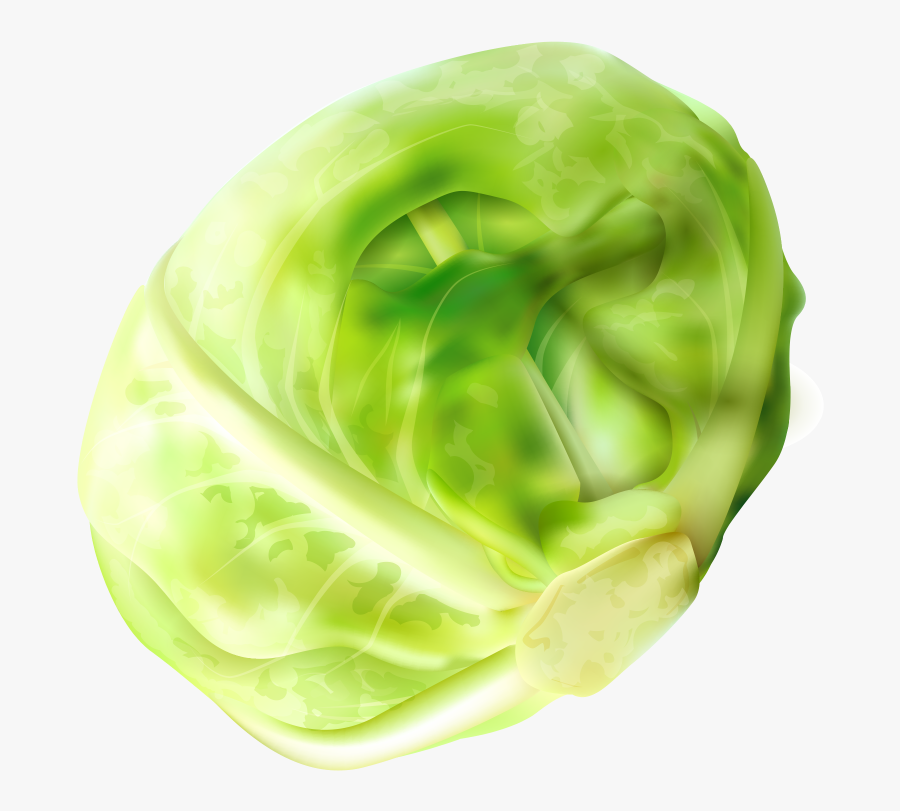 Cabbage, Transparent Clipart