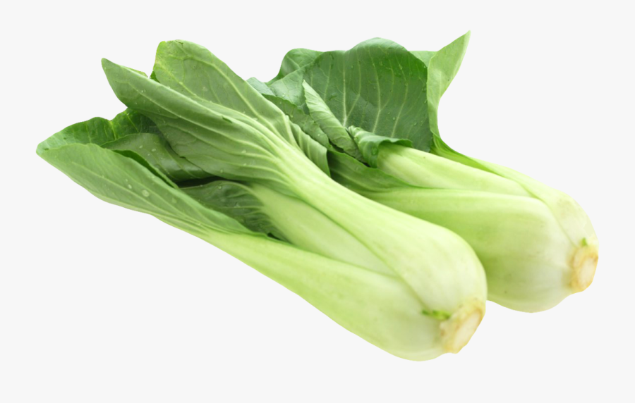 Cabbage Clipart Bok Choy Napa Cabbage - Bok Choy Png, Transparent Clipart