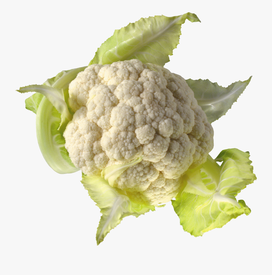 Cauliflower Png Image - Transparent Background Cauliflower, Transparent Clipart