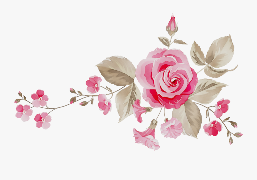 Roses Clipart Cabbage Rose - Garden Roses , Free Transparent Clipart ...