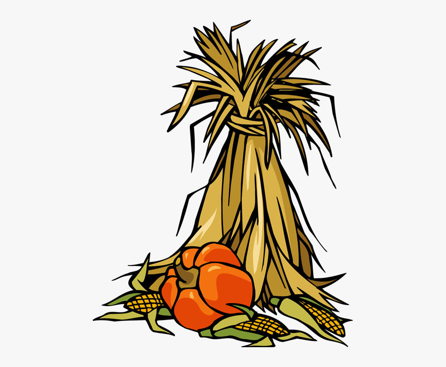 Transparent Corn Stalk Png - Fall Corn Stalk Clipart, Transparent Clipart