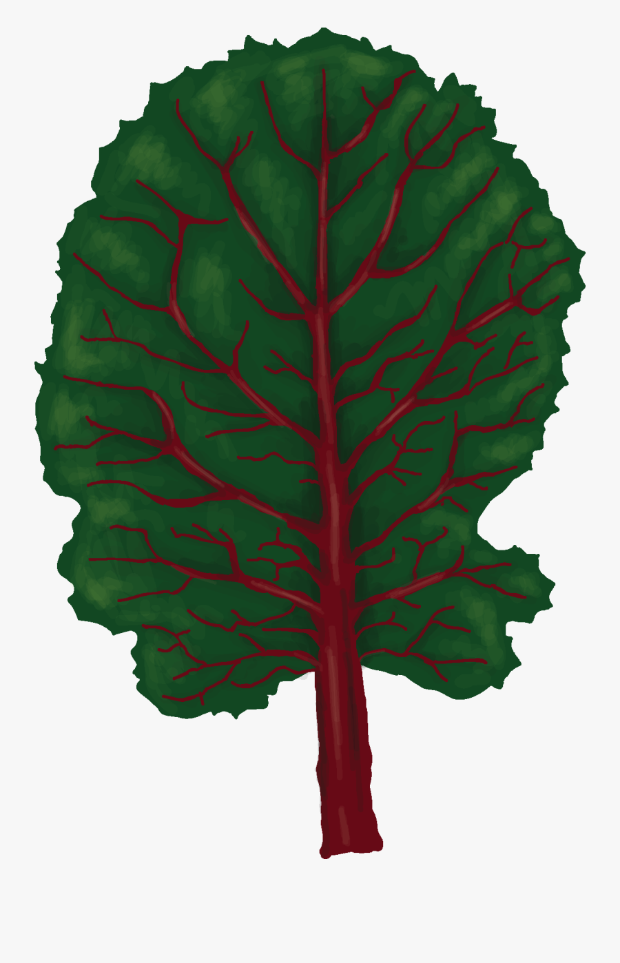 Chard Clipart , Png Download - Chard, Transparent Clipart