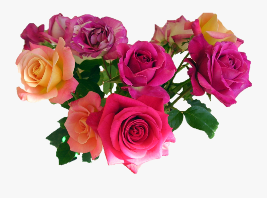 Transparent Background Flowers Png, Transparent Clipart