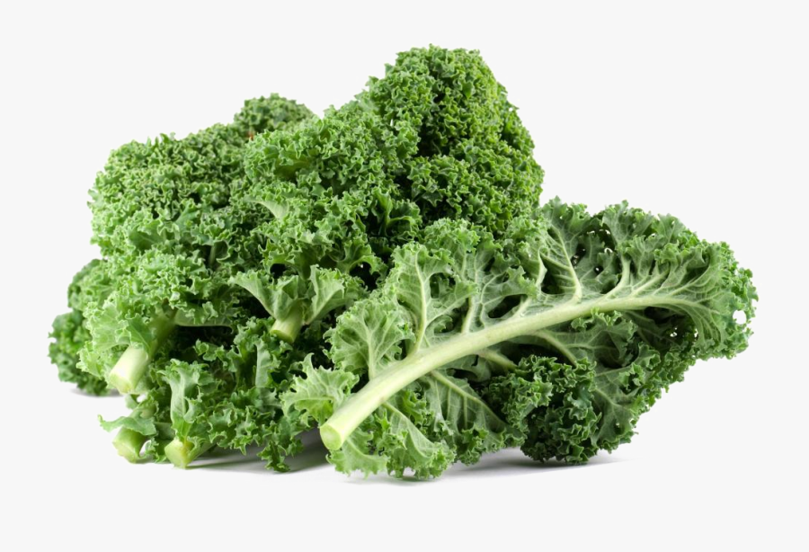 Kale Png Free Download - Kale Png, Transparent Clipart