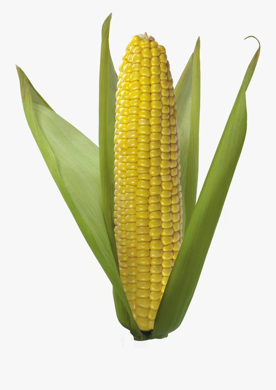 Corn Clipart - Corn Transparent Background, Transparent Clipart
