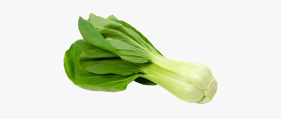 Vegetable,leaf Sum,leaf,flower,chinese Plant,spinach,romaine, Transparent Clipart