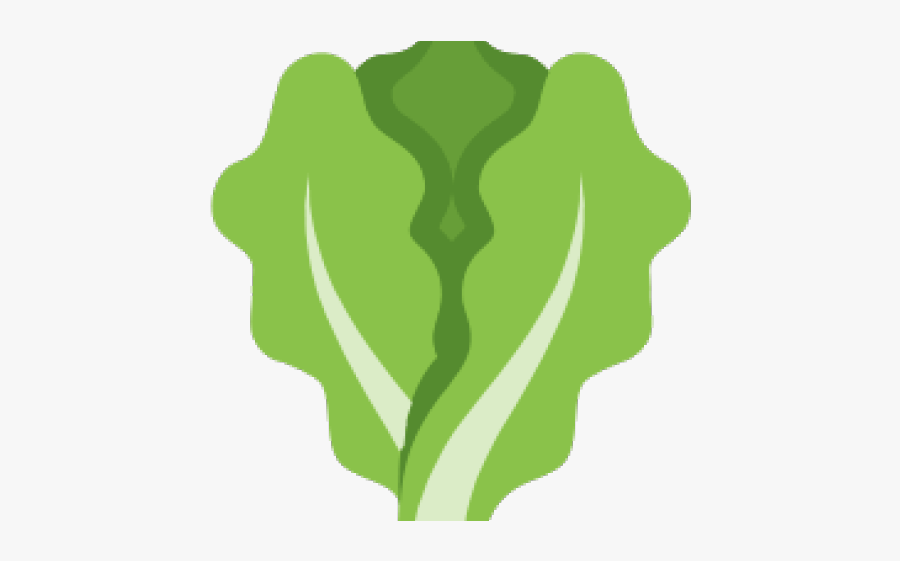 Lettuce Clipart Png, Transparent Clipart