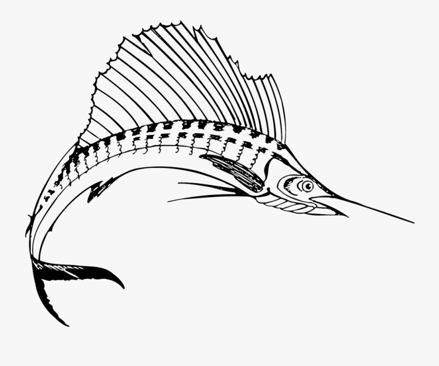 Sailfish Drawing Free Download - Sword Fish Coloring Pages, Transparent Clipart