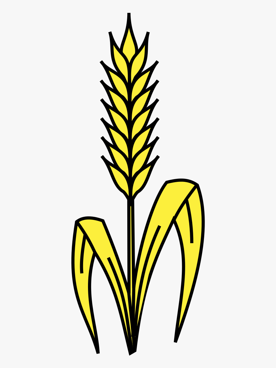 Download Svg Black And White Library Corn Stalk Bundle Clipart Wheat Stalk Clipart Free Transparent Clipart Clipartkey