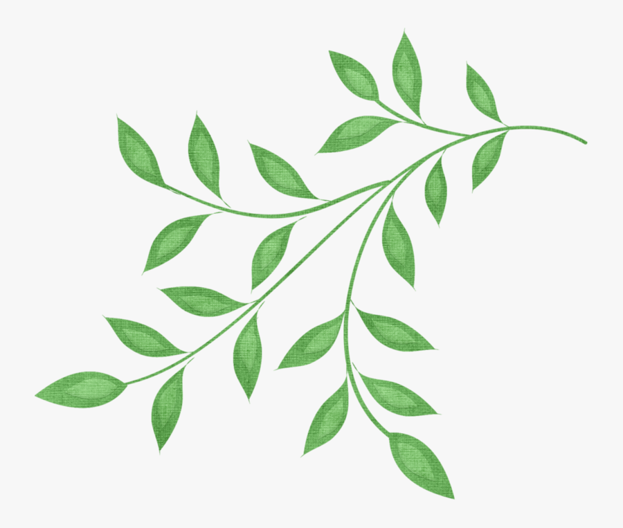 Branch Clipart Woodland Branch - Branch With Leaves Clipart, Transparent Clipart