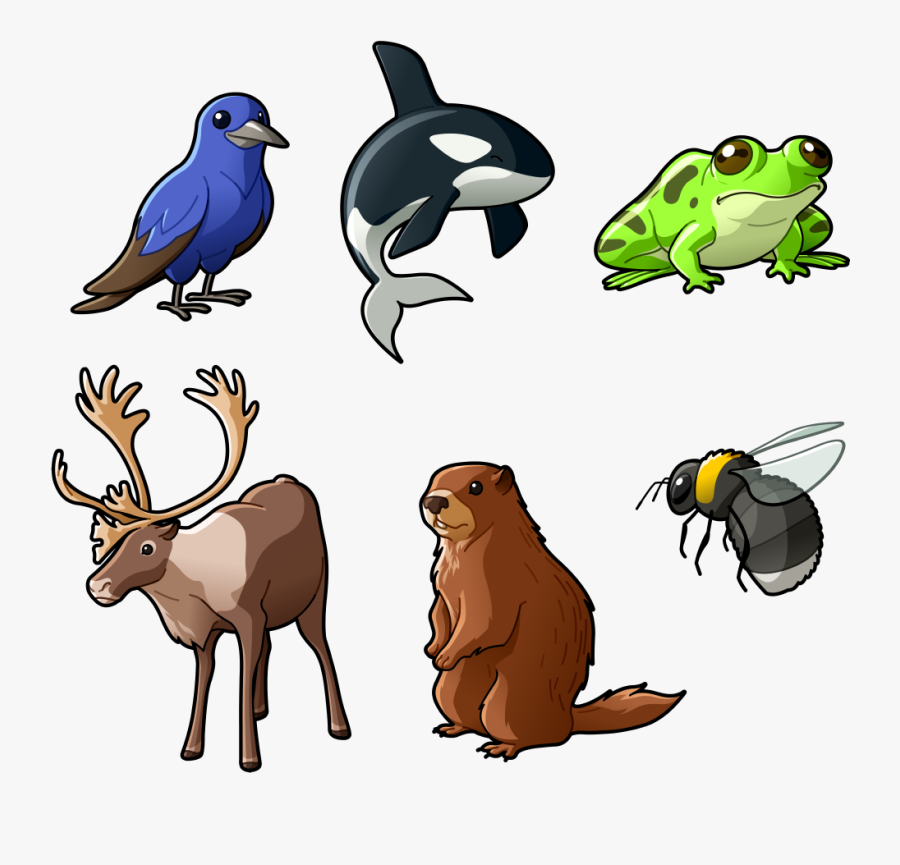 First Wave Some Endangered Species In Canada - Caribou Animal Cartoon Png, Transparent Clipart