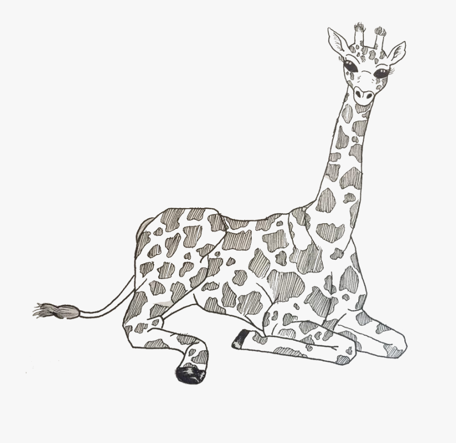 Baby Giraffes Lineart - Giraffe, Transparent Clipart