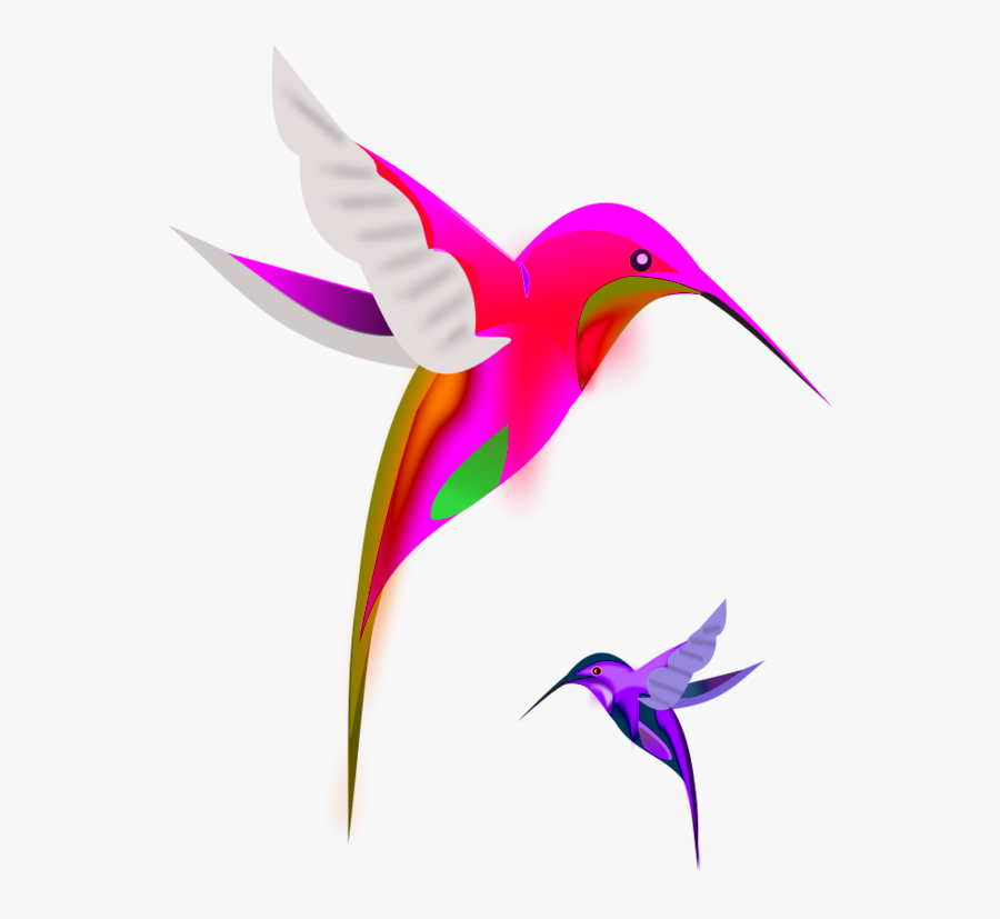 Bird Clip Art - Hummingbird Clipart, Transparent Clipart