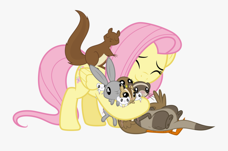 Absurd Res Animal - My Little Pony Fluttershy Animals, Transparent Clipart