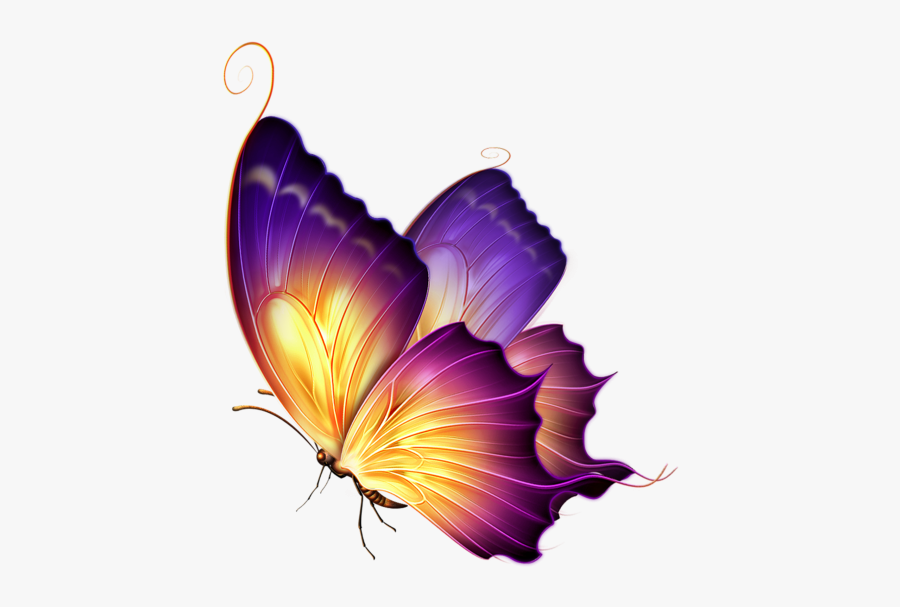 Butterfly Png For Editing , Free Transparent Clipart - ClipartKey