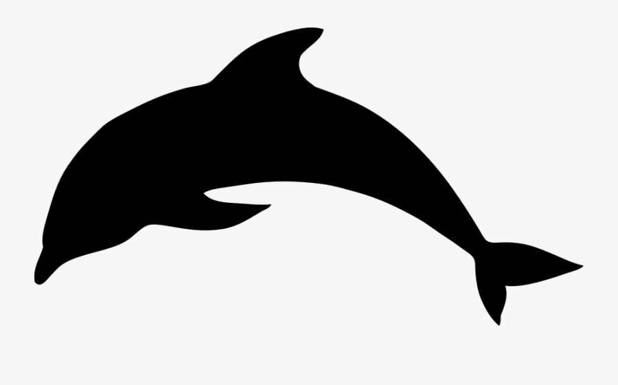Orca Clipart, Transparent Clipart