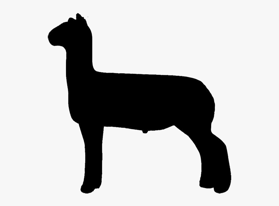 Silhouette Of Show Sheep, Transparent Clipart