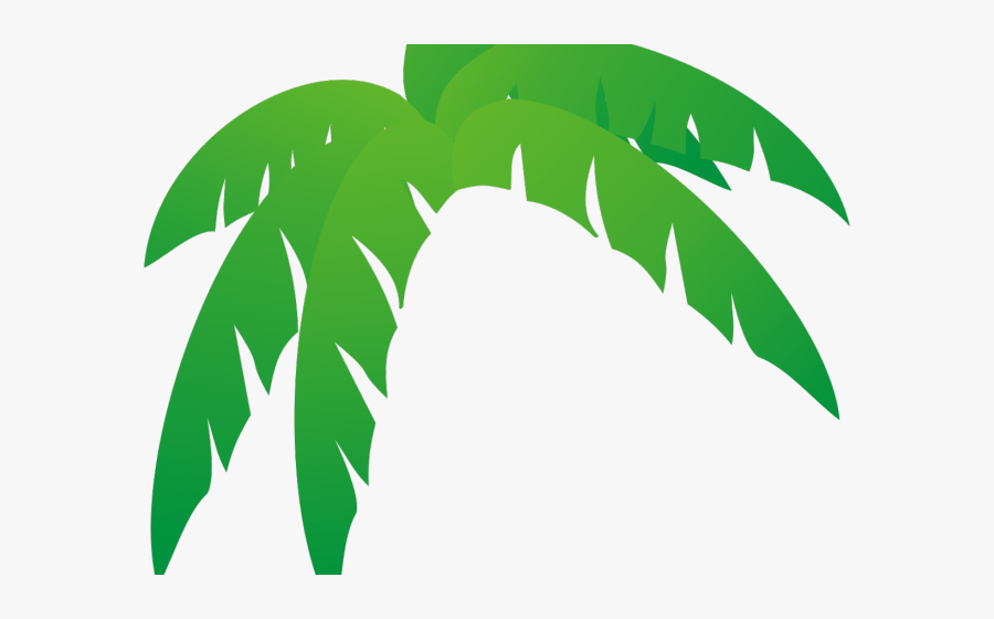 Palm Tree Leaves Cartoon, Transparent Clipart