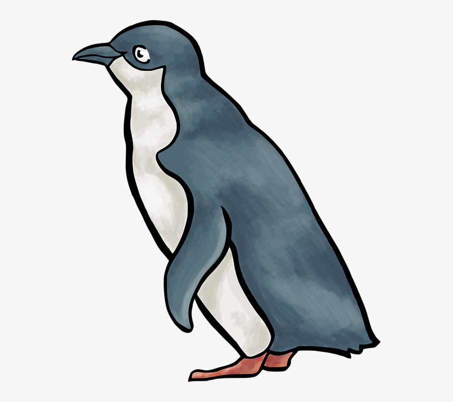 Penguin, Bird, Linux - Cartoon Little Blue Penguin, Transparent Clipart