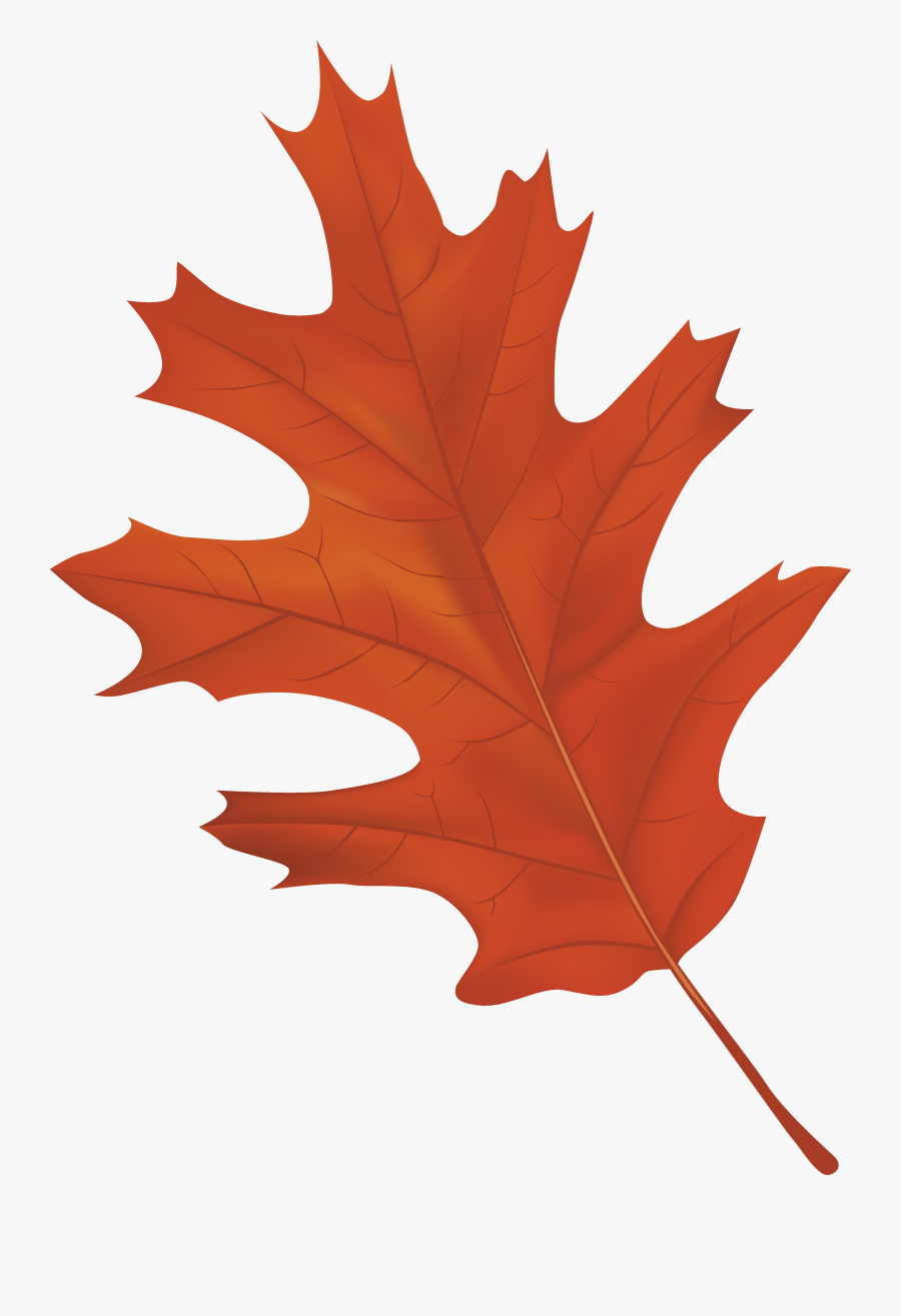 Clip Art Autumn Leaf Clipart - Autumn Leaf Clipart Png, Transparent Clipart