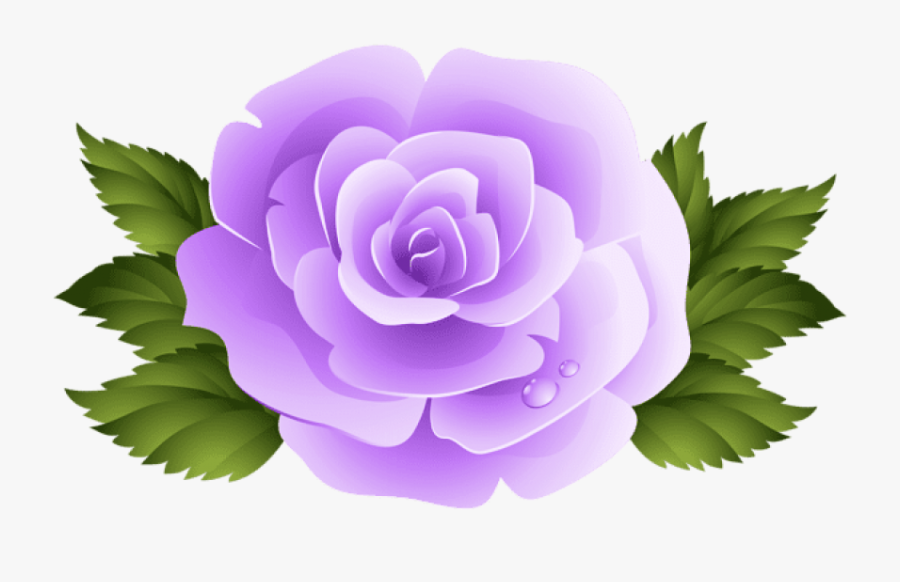 Purple Rose Png - Pink Roses Clip Art Png, Transparent Clipart