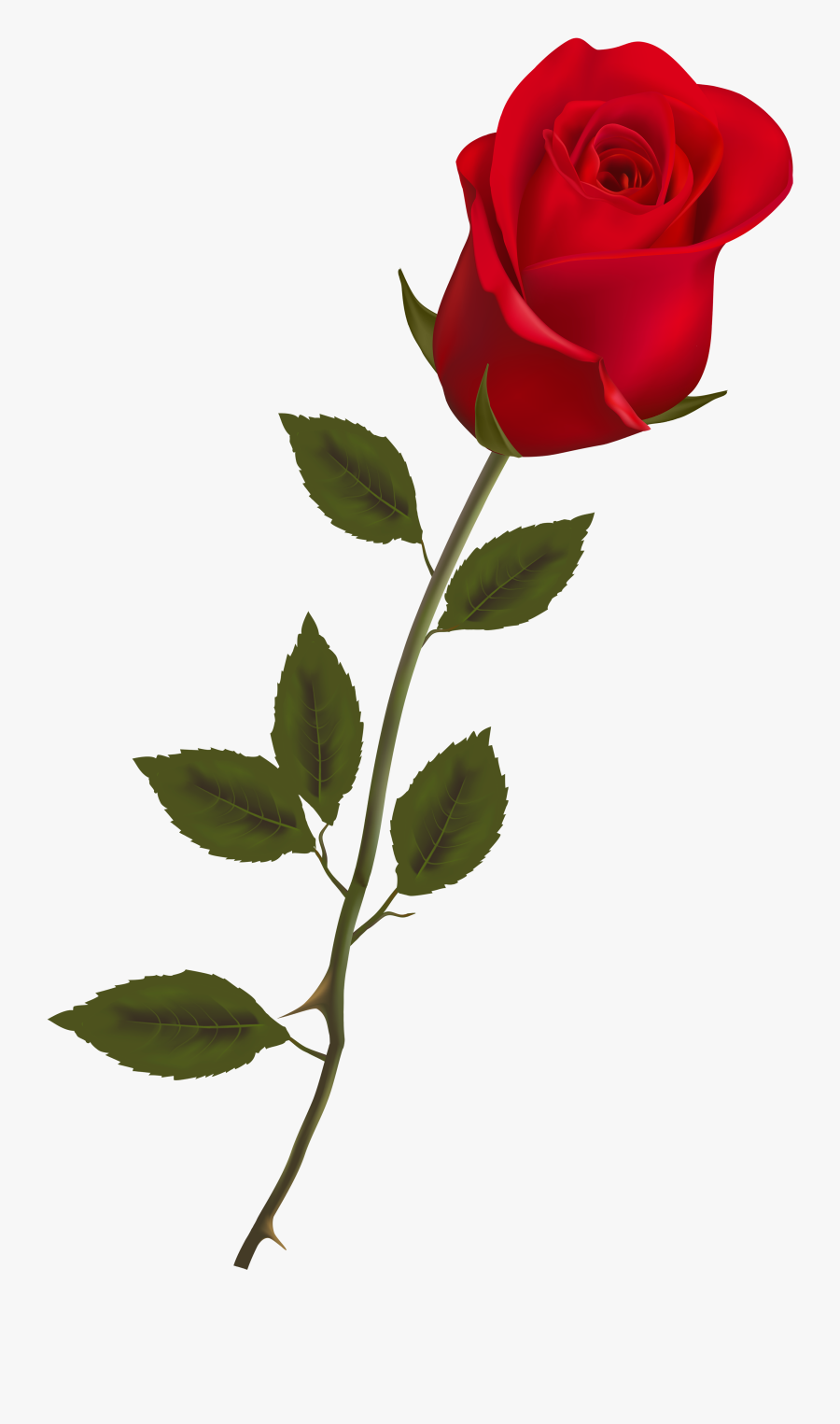 Pin By On Red - Red Rose Clipart, Transparent Clipart