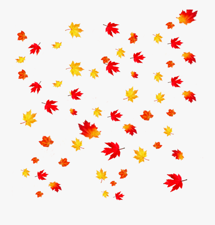 Autumn Leaves Transparent Background Clipart , Png - Falling Leaves Png Hd, Transparent Clipart