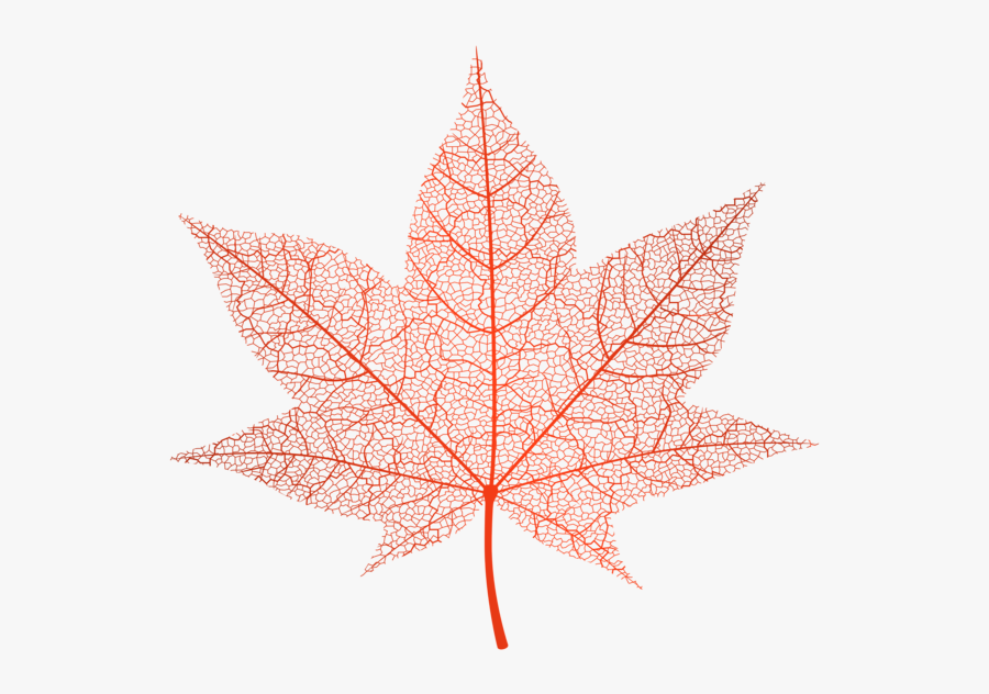 Transparent Autumn Png Clip - Transparent Background Leaves Png Autumn, Transparent Clipart