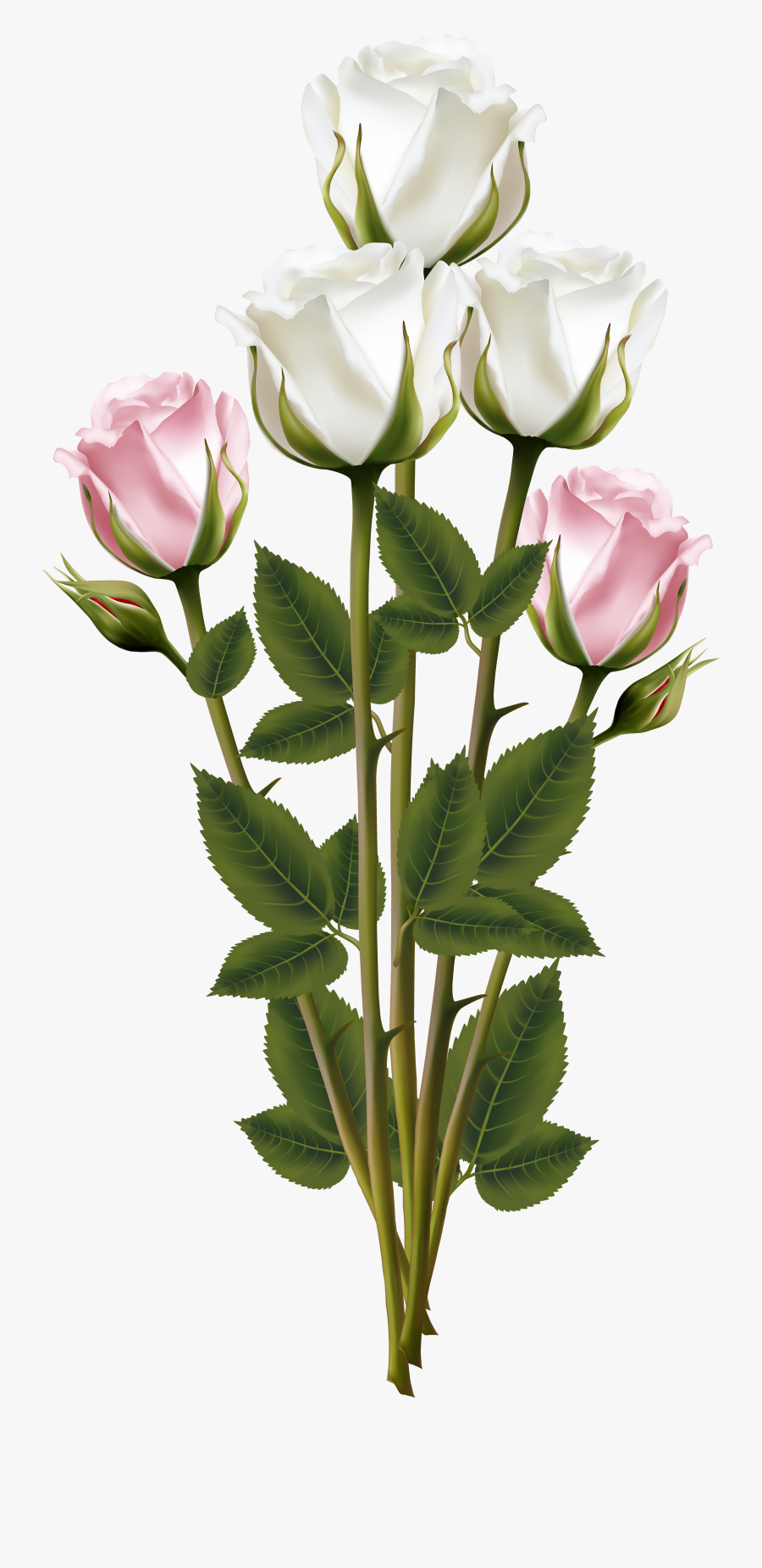 White And Pink Rose Bouquet Transparent Png Clip Art - Roses Bouquet