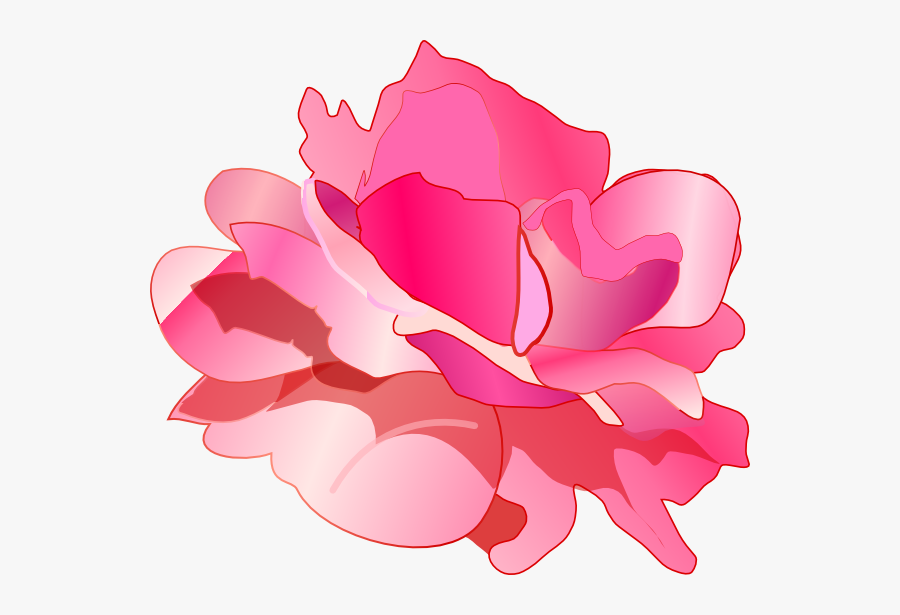 Flowers Rose Clipart Pink Png, Transparent Clipart