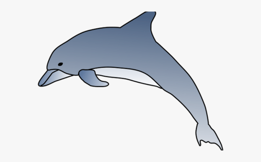 Hawaiian Spinner Dolphin Drawing, Transparent Clipart
