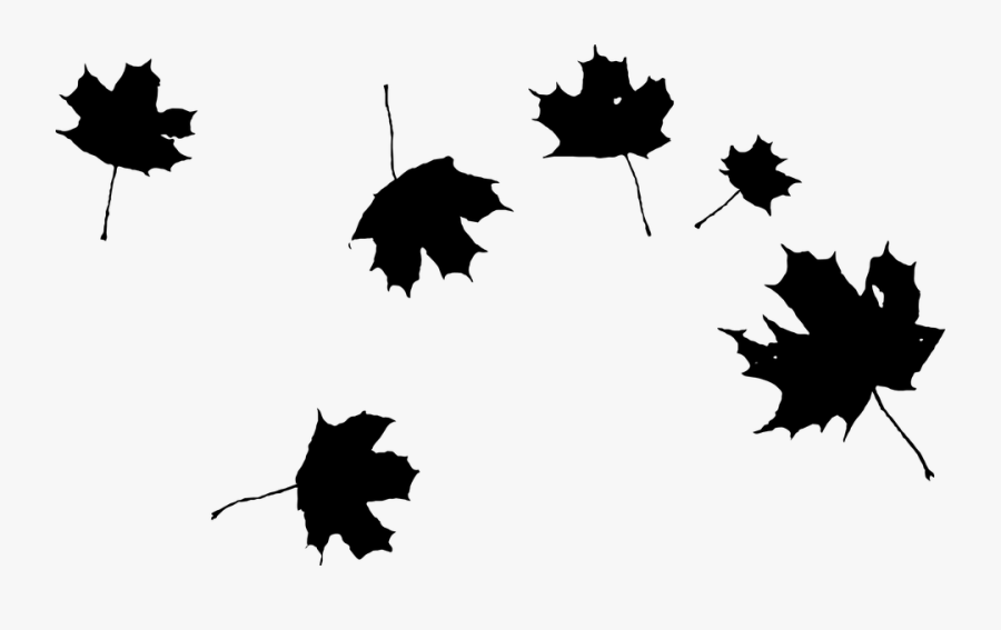 Picture Transparent Stock Autumn Png Transparent Maple - Falling Leaves Clipart Black And White, Transparent Clipart