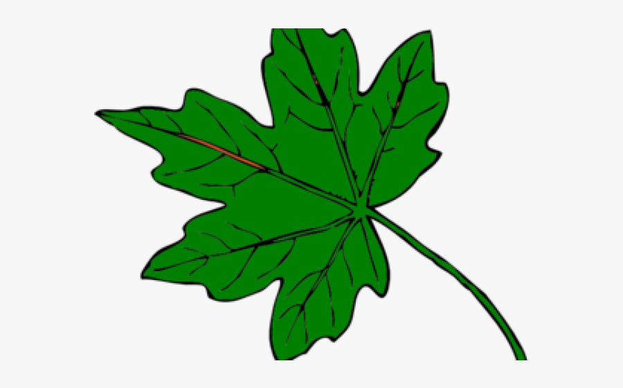 Green Leaf Clipart - Fall Leaves Clip Art, Transparent Clipart