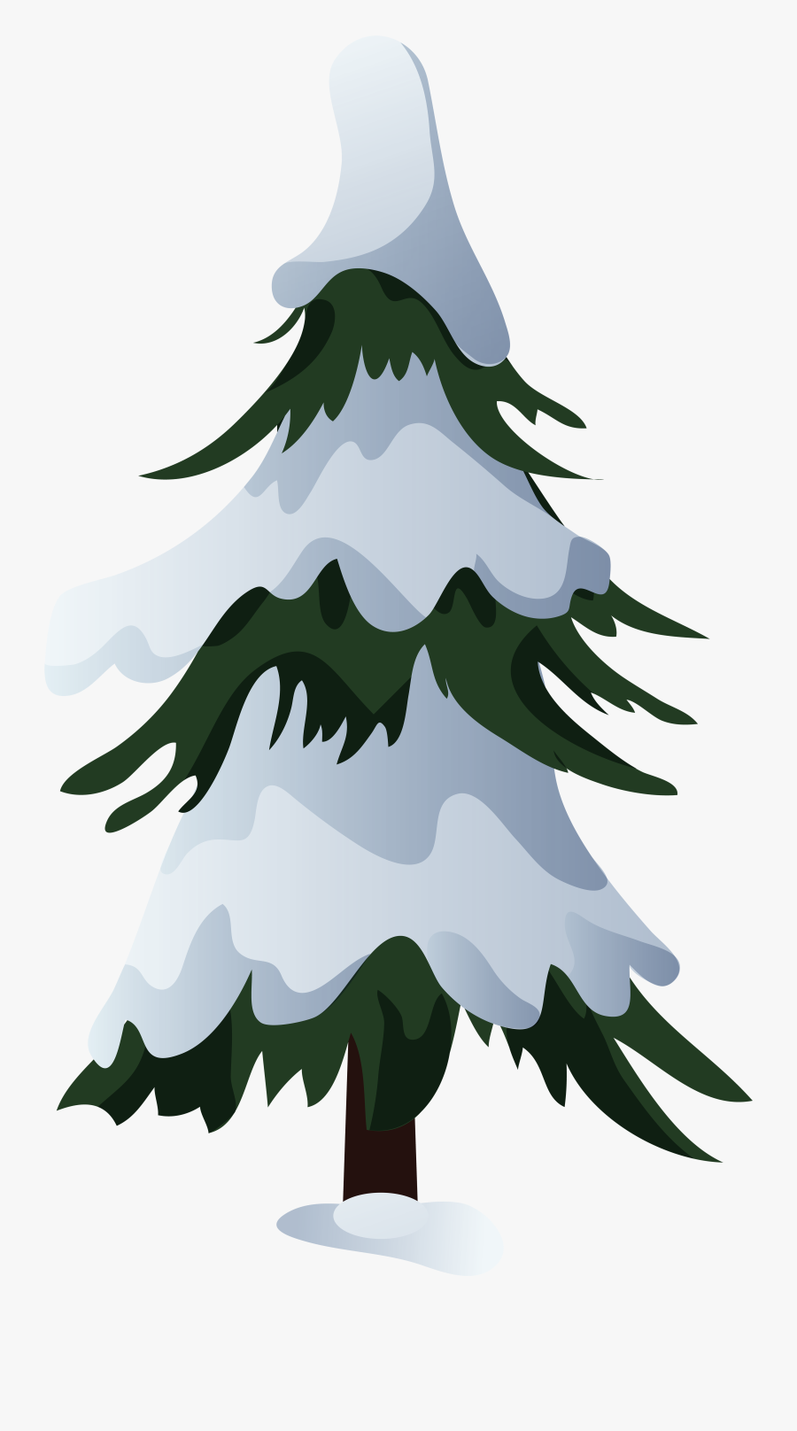 Snowy Pine Tree Png Clip Art - Snowy Pine Trees Clipart, Transparent Clipart