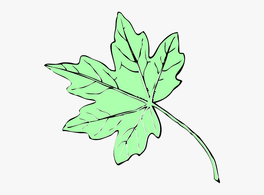Light Green Maple Leaf Clip Art - Fall Leaves Clip Art, Transparent Clipart