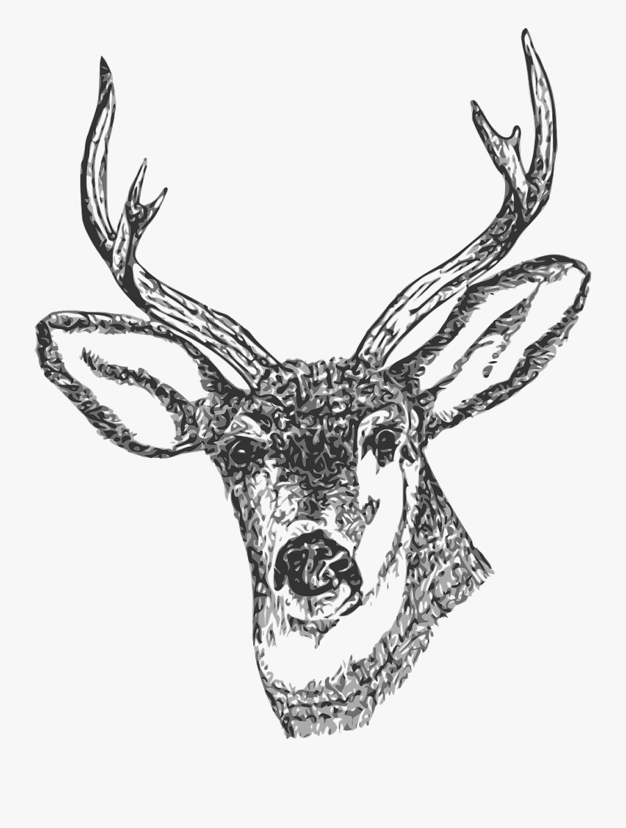 Free Clip Art Black And White Deer - Deer Clipart Transparent Background, Transparent Clipart