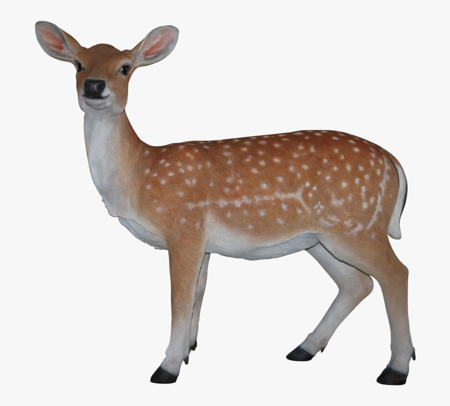 Transparent Deer Clip Art - Deer, Transparent Clipart