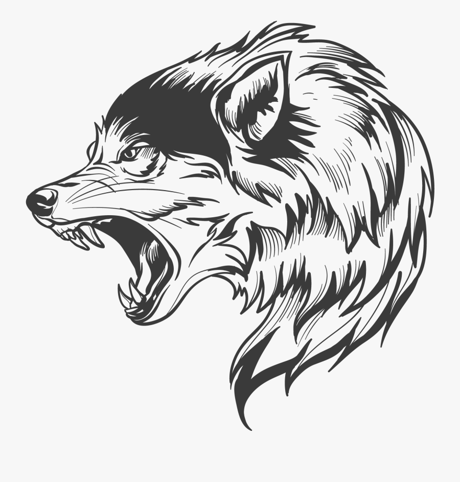 Wolf Wolf Silhouette, Wolf Head Drawing, Wolf Clipart, - Transparent Wolf Vector Png, Transparent Clipart