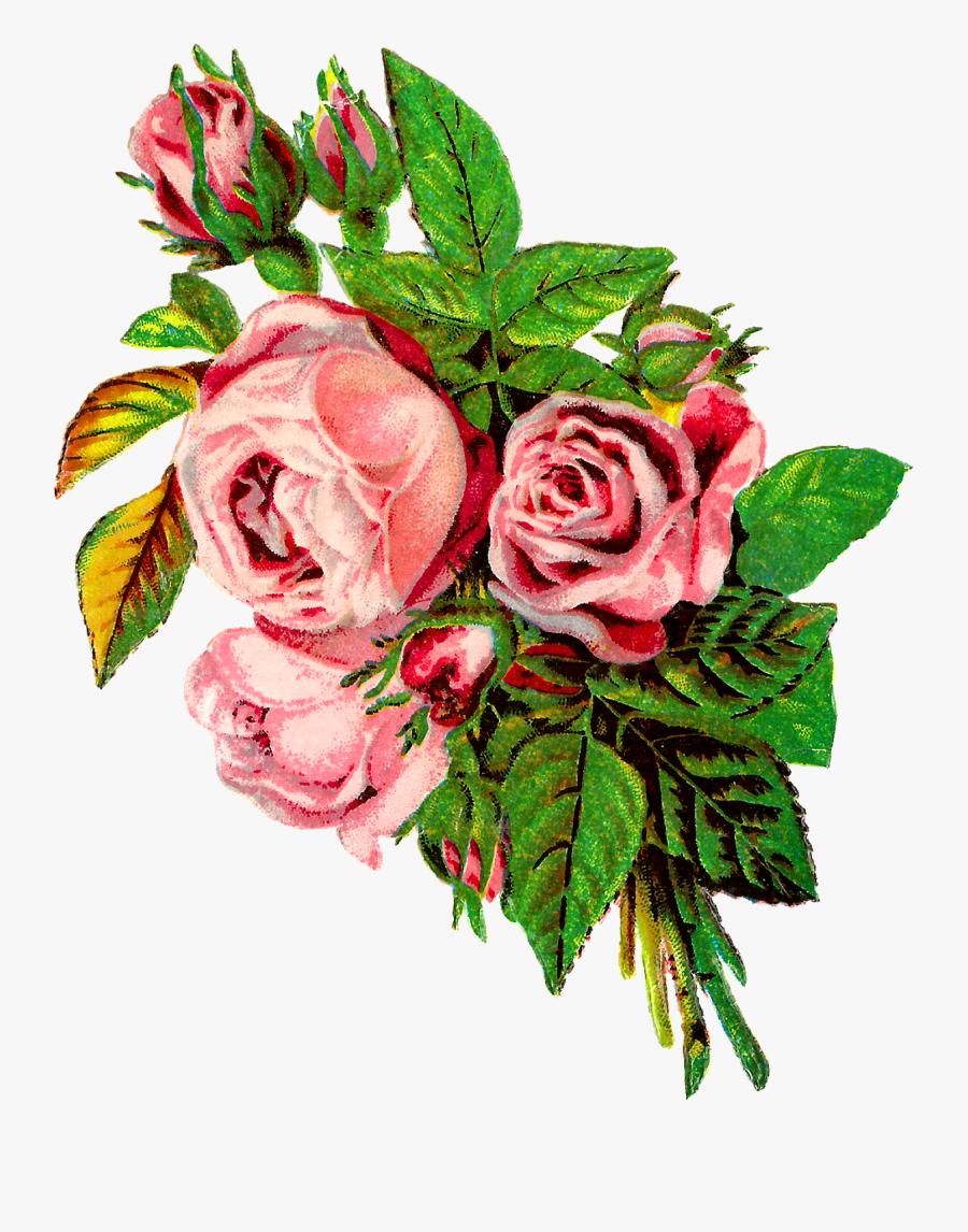 Pink Rose Clipart Png Format - Shabby Chic Vintage Rose Clip Art, Transparent Clipart