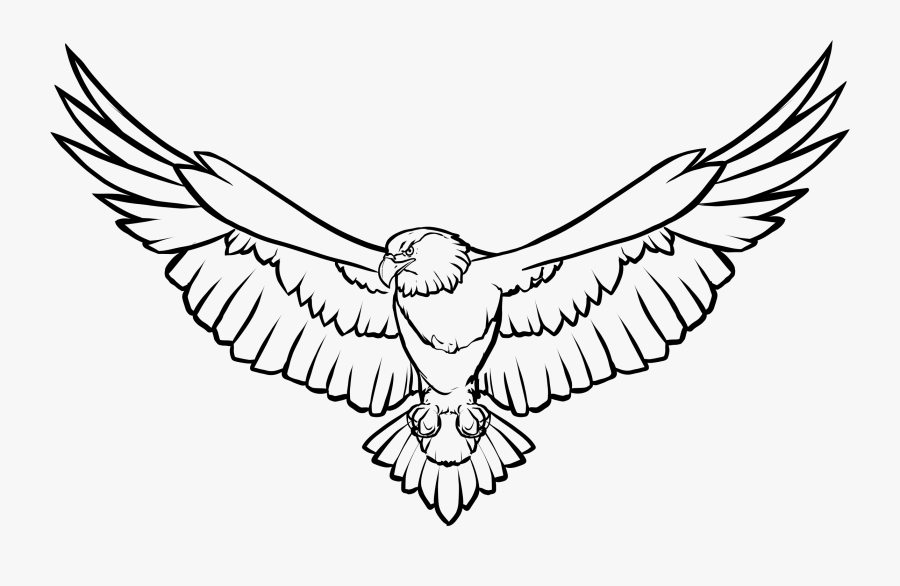 Free Image On Pixabay - Bald Eagle Clip Art Black And White, Transparent Clipart