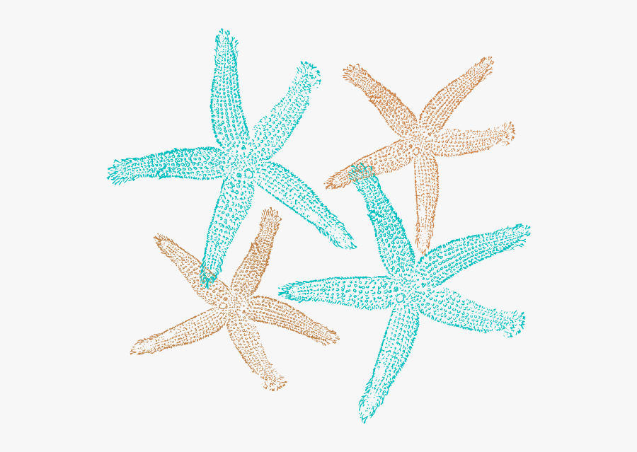 Starfish Prints Svg Clip Arts 600 X 559 Px - Shell Starfish Clip Art