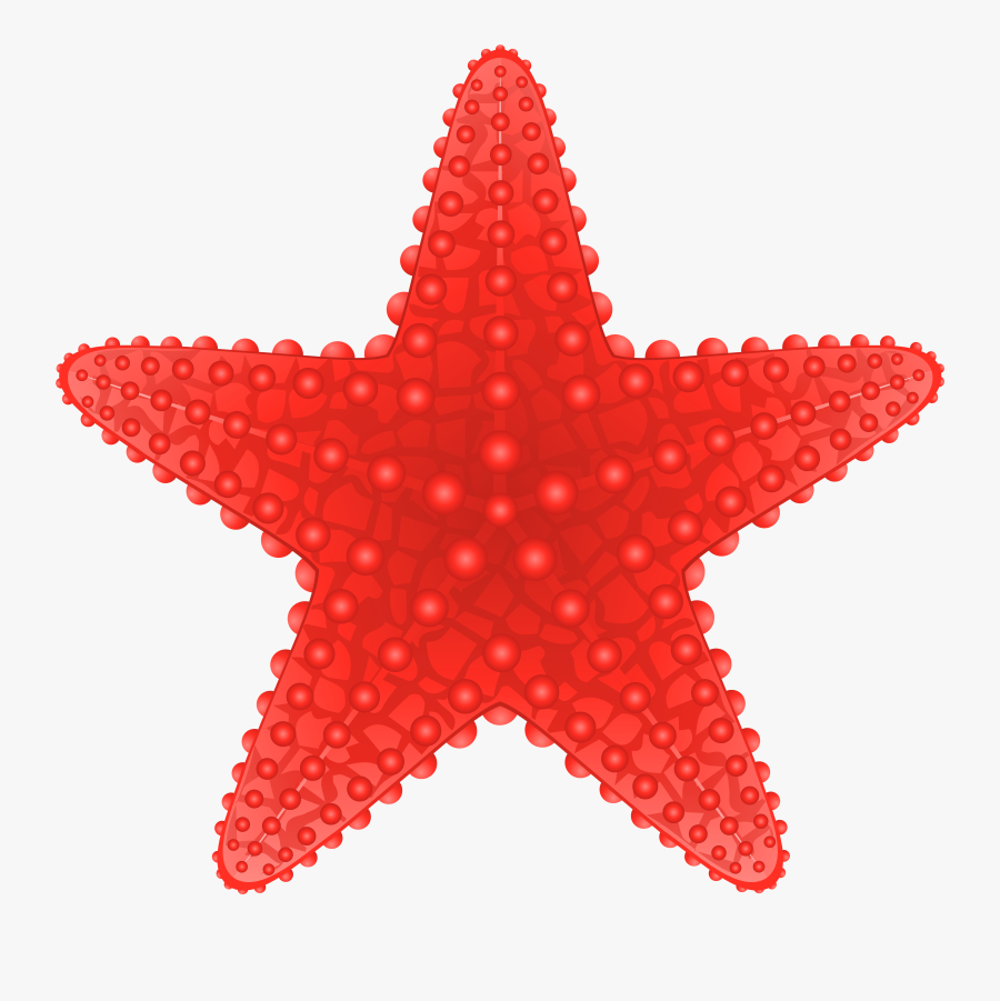 Starfish Transparent Png Clip Art Image - Starfish Clipart Hd , Free ...