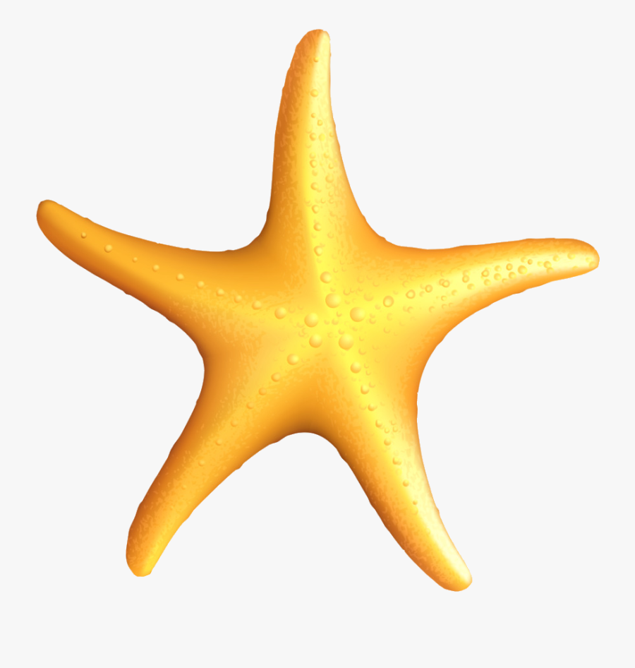 Estrela Do Mar Desenho, Transparent Clipart