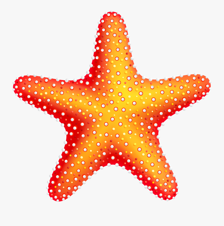 Starfish Clip Art Web Clipart - Starfish Clipart, Transparent Clipart