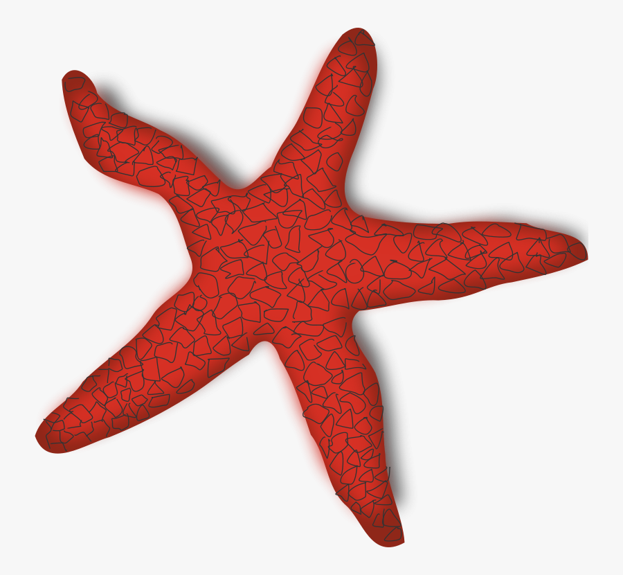 Red Starfish - Starfish Clip Art , Free Transparent Clipart - ClipartKey