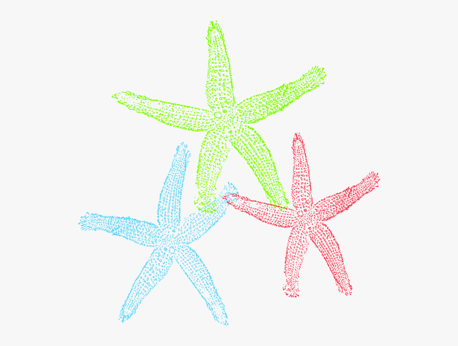 Starfish Free To Use Clipart - Free Starfish Clip Art, Transparent Clipart