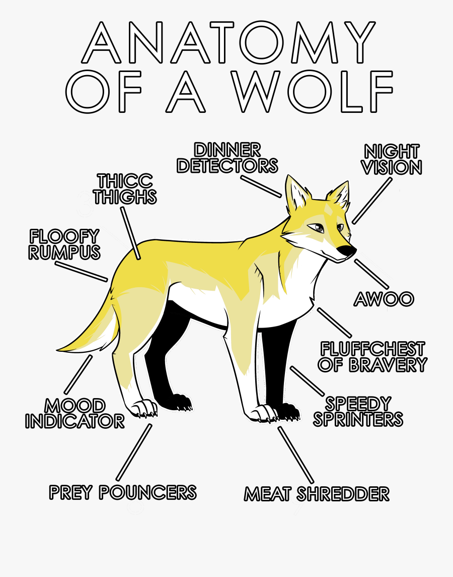 White Wolf Clipart Anatomy - Wolves Anotmy, Transparent Clipart