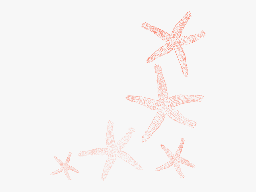 Starfish Clip Art Coral Color - Coral Starfish, Transparent Clipart