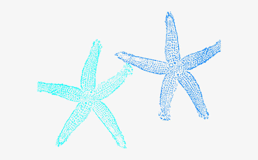 Transparent Starfish Clipart - Fish Clip Art, Transparent Clipart